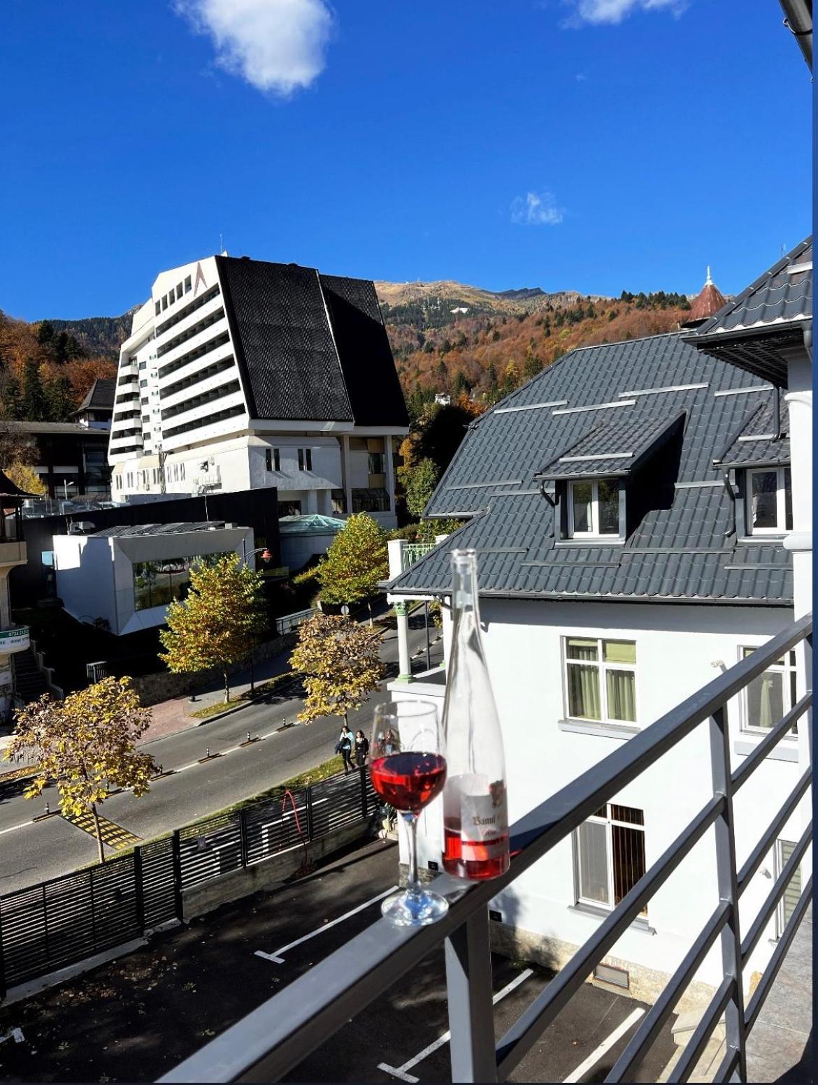 Ana Apartments Sinaia Buitenkant foto